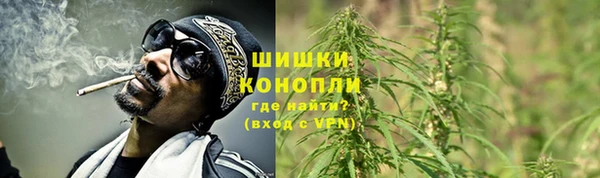 Альфа ПВП Бугульма