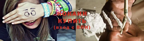 альфа пвп Бородино
