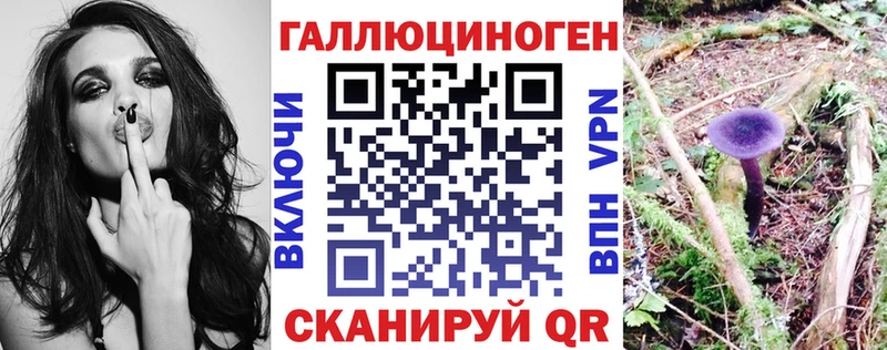 Псилоцибиновые грибы мицелий  купить закладку  Южно-Сахалинск 